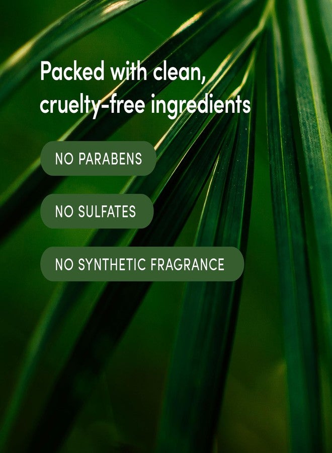 LATHER - Bamboo Lemongrass Crème Rinse, 8 fl oz (2-Pack) - Hair Conditioner - Lightweight Detangler - All Hair Types - Avocado Oil - Sensitive Skin Safe - Vegan & Cruelty Free - Beauty & Hair Care - Image 4